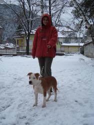 Прикачена снимка