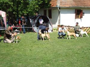 Прикачена снимка