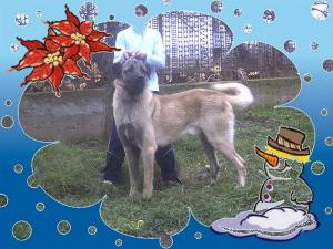 Прикачена снимка