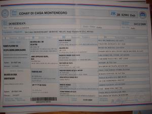 Прикачена снимка
