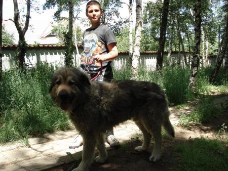 Прикачена снимка