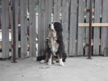 Прикачена снимка