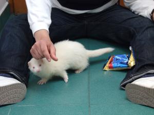 Прикачена снимка