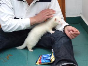 Прикачена снимка