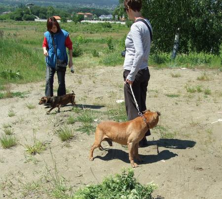 Прикачена снимка