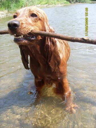 Прикачена снимка