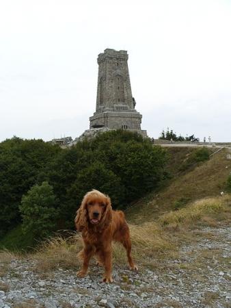 Прикачена снимка