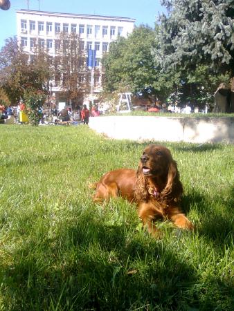 Прикачена снимка