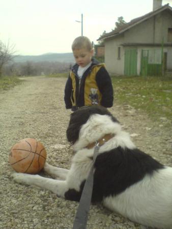 Прикачена снимка