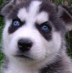 Bella:) снимка