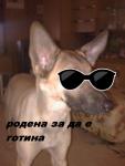 izinka снимка