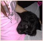 BeTS ii снимка