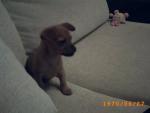 daniel_2009 снимка
