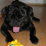 monique8008 снимка