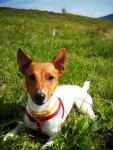 BaryJRT снимка