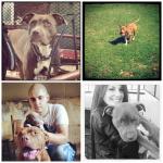 asen_hunter снимка