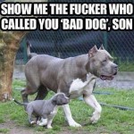 mihaylovbb снимка